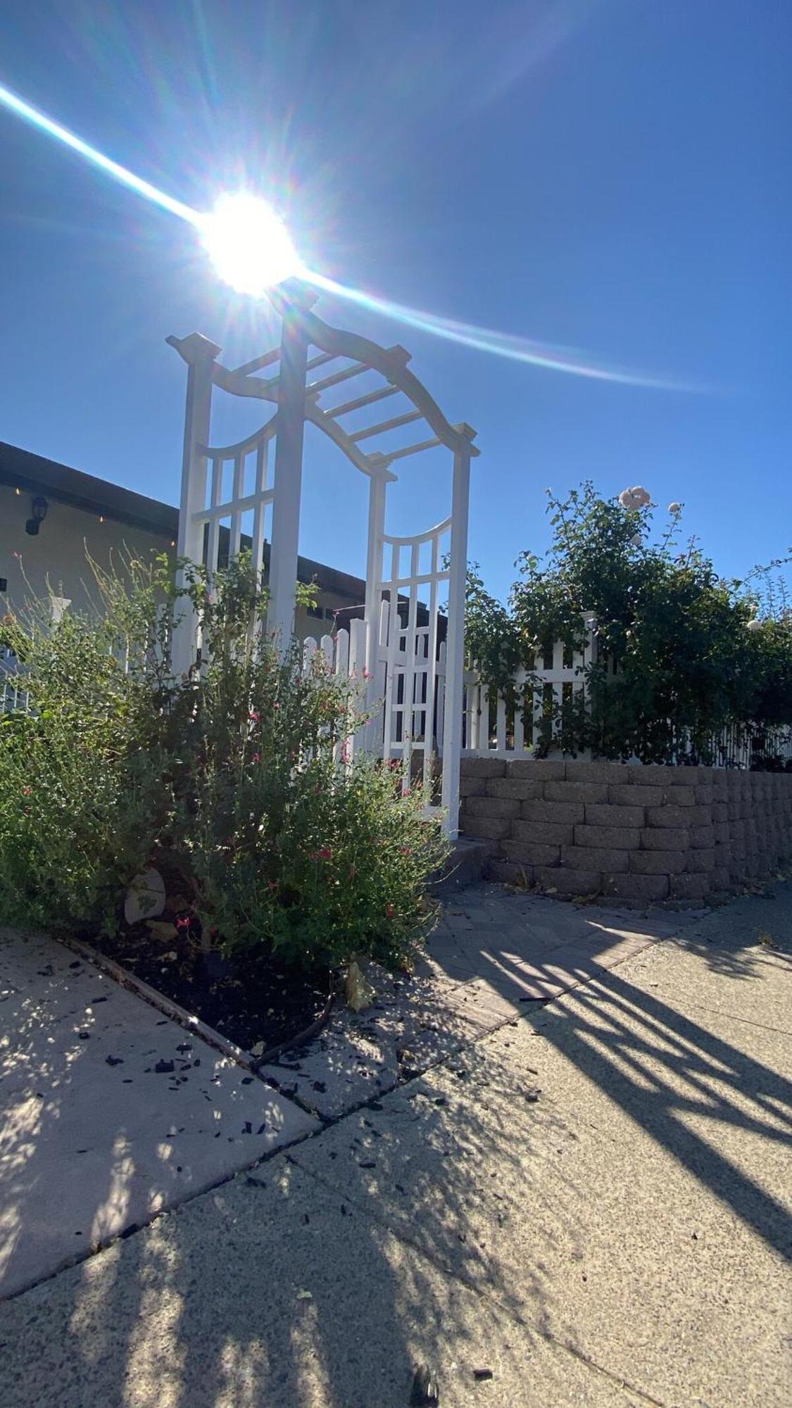 English Rose Garden Cottage Near Roseville, Ca Citrus Heights Exteriör bild